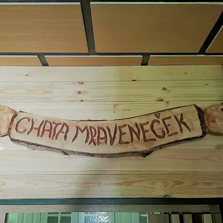 Mravenecek