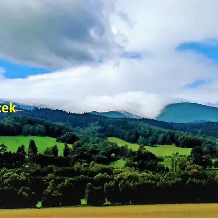 Mravenecek *