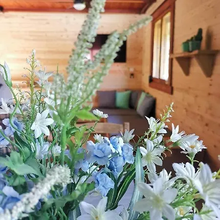 شاليه Mravenecek