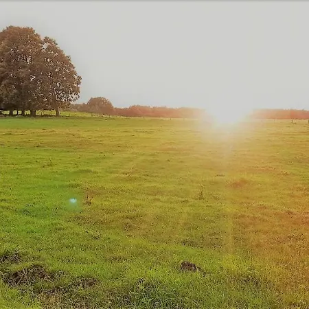 Mravenecek ليبوفا لازن