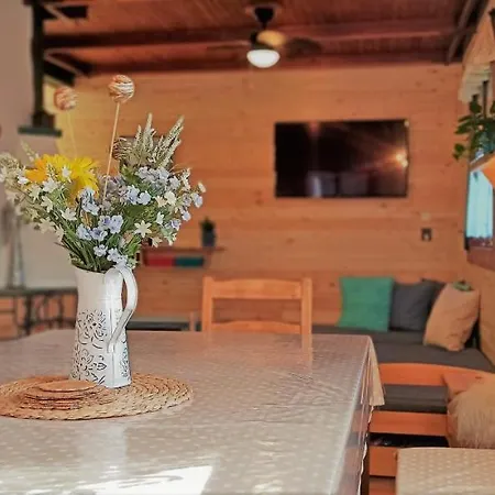 Mravenecek * ليبوفا لازن