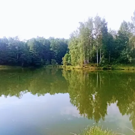 شاليه Mravenecek *