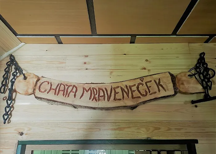 Mravenecek
