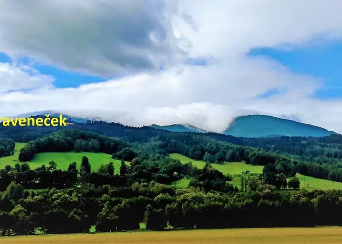 Mravenecek *
